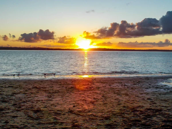 Sunset Beach Auckland New Zealand — Stock Photo, Image