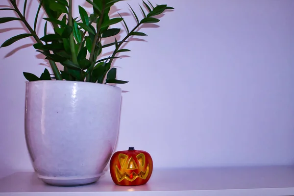 Halloween Pompoen Een Witte Achtergrond Groene Pot — Stockfoto