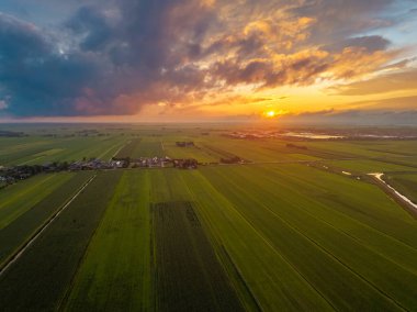 Geniş tarlaları ve altın saatinde parlayan gökyüzü ile huzurlu Hollanda manzarası.