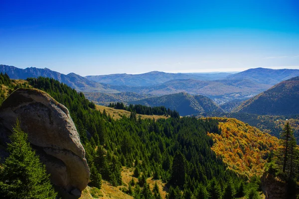 Een Adembenemend Uitzicht Bergen Die Omgeven Zijn Door Bossen — Stockfoto