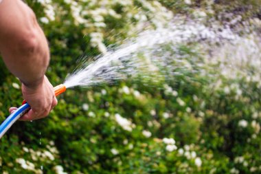 Bahçesinde çalışan bir adam.