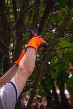 Bahçesinde çalışan bir adam.