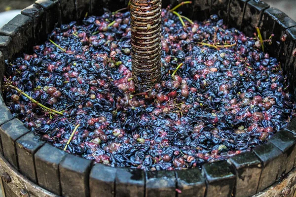 Verse Blauwe Druiven Een Houten Container — Stockfoto