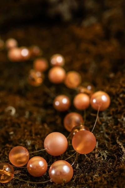 Bella Collana Perle Arancioni Sfondo Naturale — Foto Stock