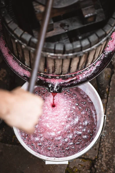 Farmers hands holding the machine. Farmer making red vine from purple grpapes.