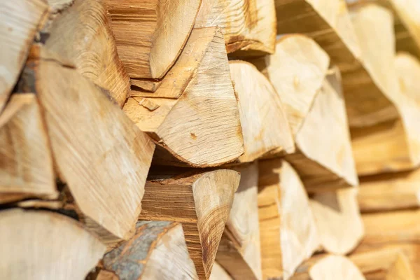 木を切り 冬の薪 — ストック写真