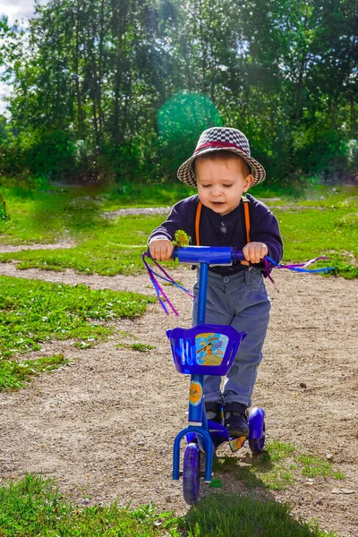 Küçük çocuk mavi bir scooter sürüyor. Çocuk oyunu, eğlence. Bahar ve yaz kamplarında. Yeşillikler, çimenler, ağaçlar, park. Şapkalı çocuk. Bağımsız Kafkasyalı çocuk.