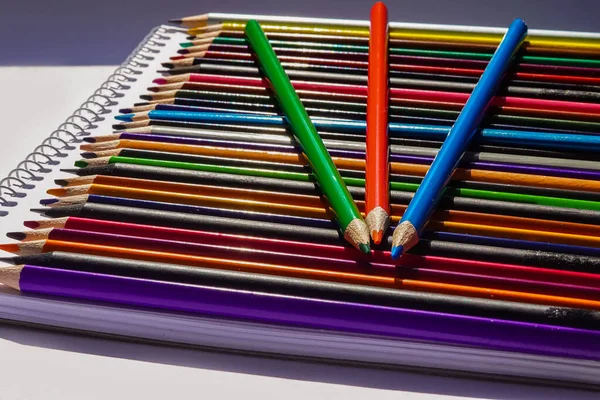 Bir sürü renkli kalem var. Arka plana geç. Parlak ve zıt bir görüntü. Çizim, sanatçıların eğitiminin temelidir.