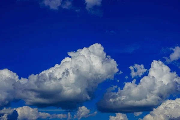 Açık, havadar, kabarık, şehvetli, beyaz kümülüs bulutları parlak mavi gökyüzüne karşı. Doğanın zıt bir görüntüsü. Güzel manzara. Özgün arkaplan resmi, doku