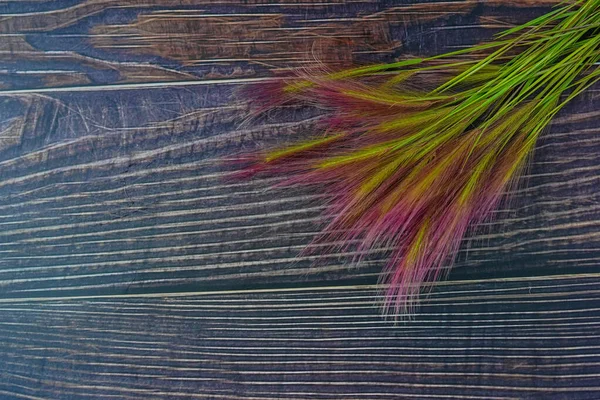 Görüntü yüksek bir açıdan çekiliyor. Düz yatıyordu. Fotoğrafın sağ üst köşesinde kabarık dikenler ve koyu doğal ahşap tahtalar var. Uzayı kopyala Arkaplan resmi, doku