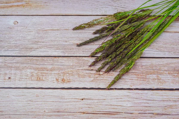 Görüntü yüksek bir açıdan çekiliyor. Düz yatıyordu. Fotoğrafın sağ üst köşesinde sazlıkların dikenleri var. Arka planda ise hafif doğal ahşap tahtalar. Uzayı kopyala Arkaplan resmi, doku