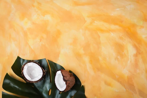 Fundo Verão Com Folha Palmeira Tropical Frutas Coco Sobre Fundo — Fotografia de Stock