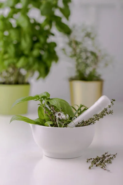 Green basil, thyme, oregano  in white ceramic mortar and pestle om white table. Alternative herbal medicine concept. Selective focus.