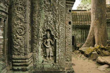 Hindu mitolojisinden Apsara dansçısı taş heykeli, Angkor Wat Unesco parkındaki Ta Phrom tapınağına oyulmuş, Siem Reap, Kamboçya