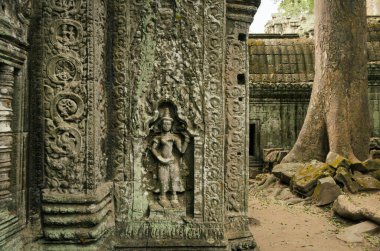 Apsara dancer stone sculpture from Hindu mythology, carved on Ta Phrom  temple in Angkor Wat Unesco park, Siem Reap, Cambodia clipart