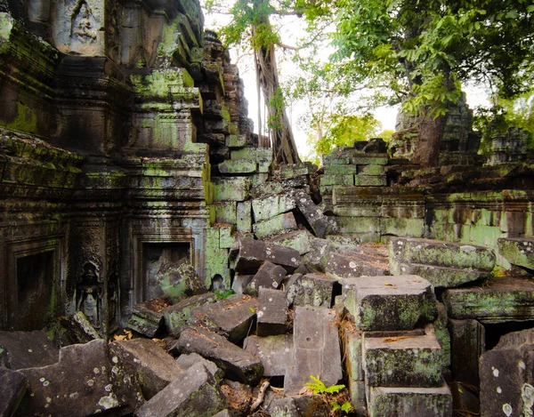 Kollapsade Stenmur Överväxt Träd Rötter Berömda Phrom Tomb Raider Tempel — Stockfoto
