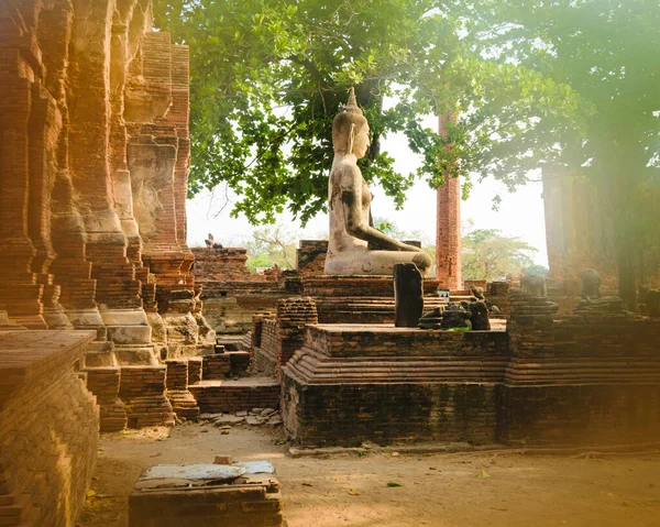 Sten Figur Buddha Ruinerna Ayutthaya Kungliga Buddisttempel Thailand — Stockfoto