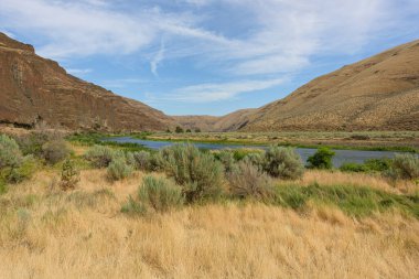Oregon Cottonwood Canyon Eyalet Parkı 'nın panorama manzarası. Dağlar bir nehre ve kaya oluşumlarına yansıyor..