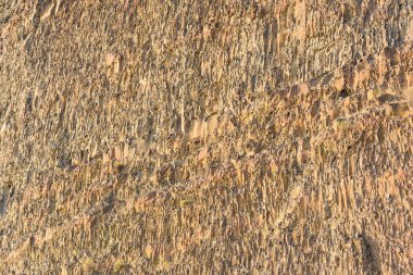 Cottonwood Canyon State Park, Oregon 'da kaya tırmanışı yüzeyi.