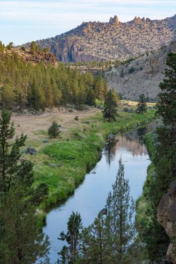 Oregon, ABD 'deki Smith Rock kanyon parkı çevresindeki nehir ve yeşil kıyılar