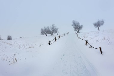 Ölü bir yalnız ağaç, Lübnan 'ın Tannourine Sedir rezervindeki kar tarlasının etrafındaki ahşap çitle kaplı kış manzarasında karla kaplıdır..