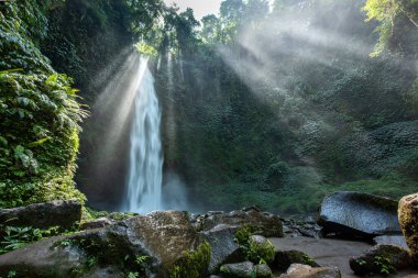 Nungnung Şelalesi Bali, Endonezya 'da popüler bir turizm merkezi olan Bali ormanının içine doğal bir havuz döktü.