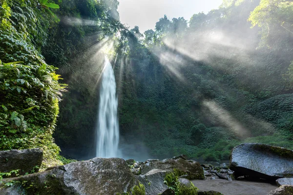 Nungnung Şelalesi Bali, Endonezya 'da popüler bir turizm merkezi olan Bali ormanının içine doğal bir havuz döktü.