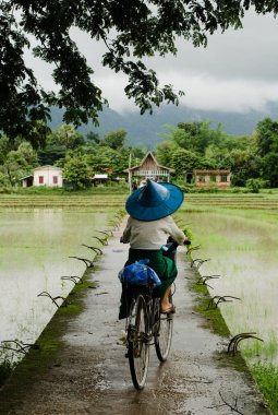 Hpa An, Myanmar - 13 Haziran 2014: Güney Myanmar 'da Hpa An kasabası etrafında çeltik tarlalarında bisiklet süren bir kadın