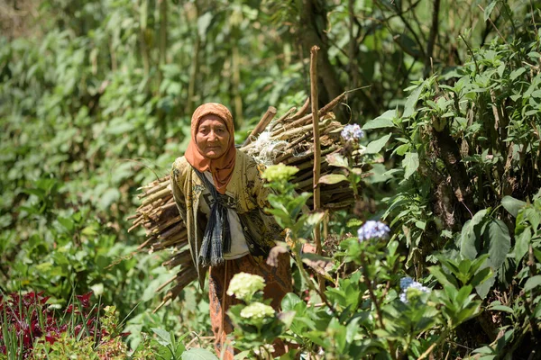 Java Indonesia Nov 2018 Una Mujer Indonesia Trabajadora Con Ropa — Foto de Stock