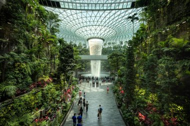 Singapur - 30 Ağustos 2019 Jewel Changi Havalimanı, Singapur 'da iç şelalesi, tropikal ormanı, alışveriş merkezleri ve yemekleri olan cam bir kubbenin altında bulunan yeni bir terminal binasıdır.