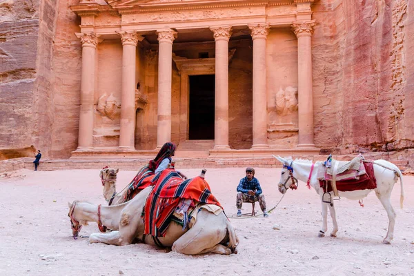 Petra Jordania Julio 2016 Guías Camellos Burros Esperan Los Turistas —  Fotos de Stock