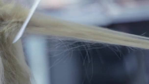 Beautiful haircut in beauty salon — Stock Video