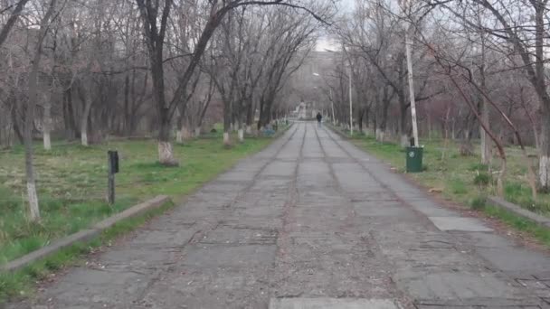 Pessoas Andando Parque — Vídeo de Stock