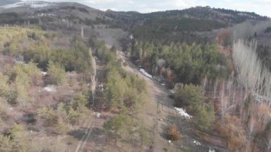 Dağdaki renkli orman.