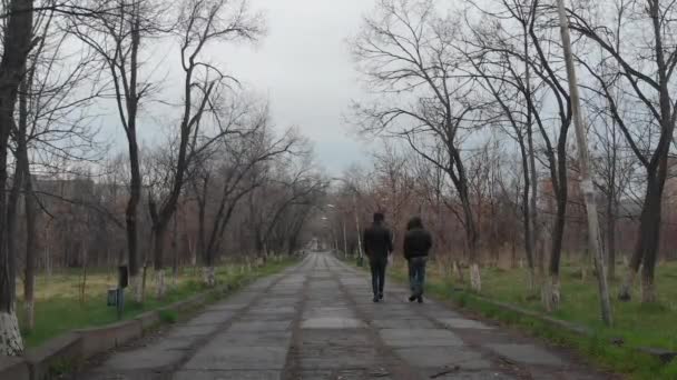 Due Ragazzi Che Camminano Parco — Video Stock