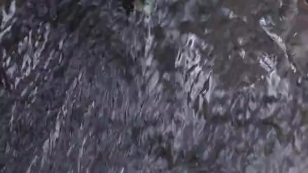 Río salvaje, el agua fluye sobre la piedra — Vídeos de Stock