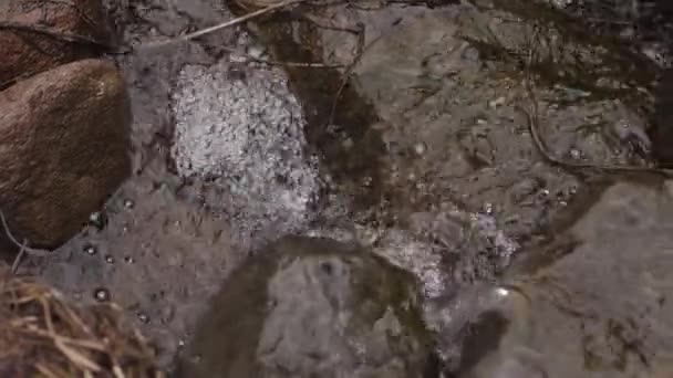 Дикая Река Вода Течет Над Камнем — стоковое видео