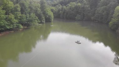 Güzel yeşil bir ormanda vahşi bir göl