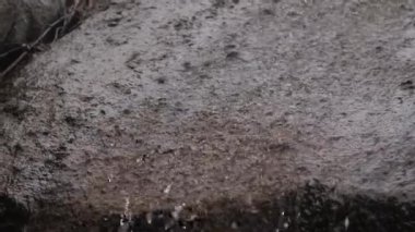 Vahşi nehir, taşın üzerinden akan su.