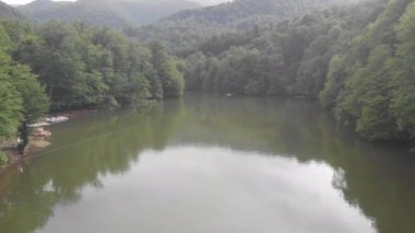 Güzel yeşil bir ormanda vahşi bir göl