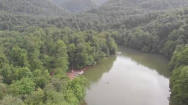 Güzel yeşil bir ormanda vahşi bir göl