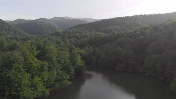 Güzel Yeşil Bir Ormanda Vahşi Bir Göl — Stok video