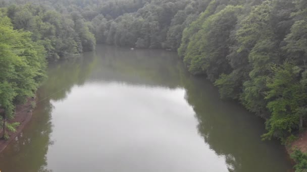 Lago Selvaggio Una Bellissima Foresta Verde — Video Stock