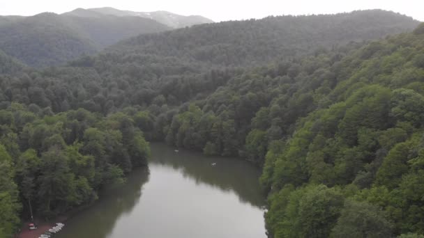 Дике Озеро Прекрасному Зеленому Лісі — стокове відео