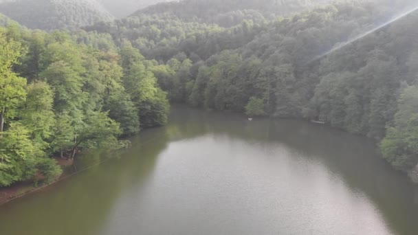 Dzikie Jezioro Pięknym Zielonym Lesie — Wideo stockowe
