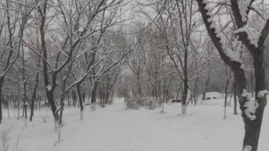 Avrupa 'daki soğuk karlı park