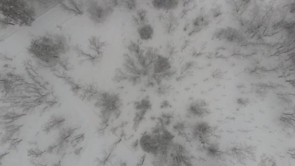 Zimny Śnieżny Dziedziniec Zimą Europie — Wideo stockowe