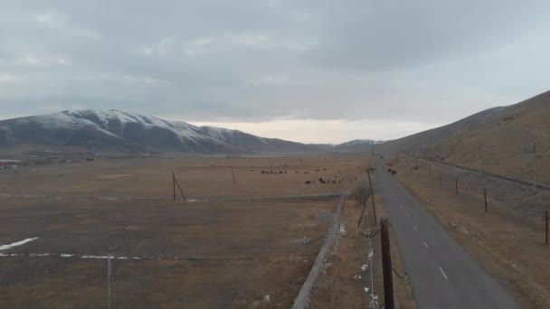 Frío Lago Grande Entre Montañas Nevadas — Vídeo de stock