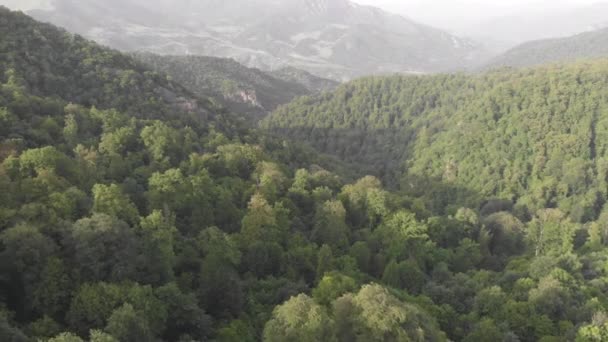Floresta Umas Montanhas Disparadas Cima — Vídeo de Stock