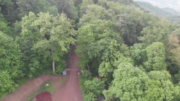 山の上から撮影された森 — ストック動画